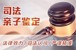 德阳司法亲子鉴定详细流程，司法DNA亲子鉴定采集什么样本